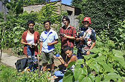 Yard Sharing Network