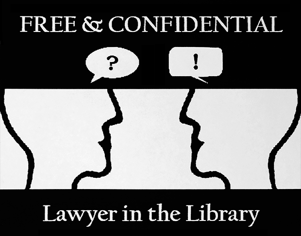 Lawyer In The Library