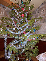 Community Celebration at the Stonehouse, Nevada City, California.