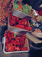 Community Celebration at the Stonehouse, Nevada City, California.